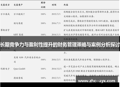 长期竞争力与盈利性提升的财务管理策略与案例分析探讨