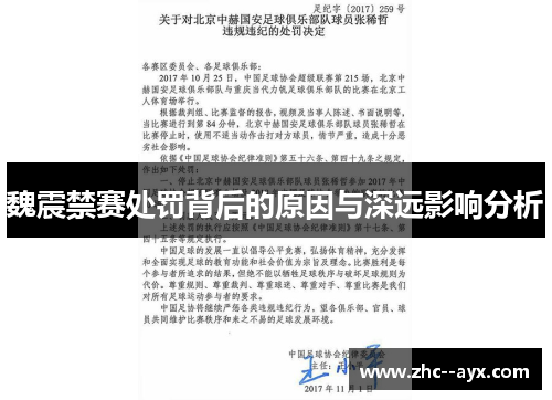 魏震禁赛处罚背后的原因与深远影响分析