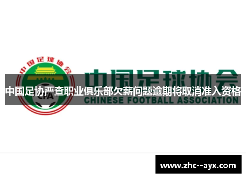 中国足协严查职业俱乐部欠薪问题逾期将取消准入资格